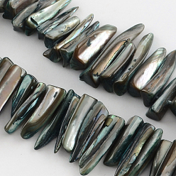 Noir Erose coquille naturelle brins de perles, teint, noir, 20~40x4~8x4~7mm, trou: 1mm, environ 70 pcs/chapelet