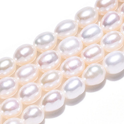 Seashell Color Natural Cultured Freshwater Pearl Beads Strands, Rice, Seashell Color, 6.4~7x5~5.5mm, Hole: 0.7~0.8mm, about 55~56pcs/strand, 13.98 inch(35.5cm)