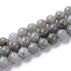 Labradorite Natural Labradorite Beads Strands, Round, 8mm, Hole: 1.4mm, about 50pcs/strand, 15.75 inch(40cm)