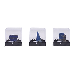 Lapislázuli Pepitas lapislázuli natural, decoraciones de exhibición de hogar de piedra en bruto en bruto, con caja de embalaje, 13~34x5~27x5~27 mm, 6 unidades / caja