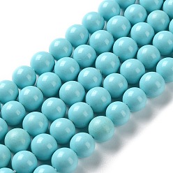 Turquesa Cuentas de concha perla hebras, Grado A, pulido, rondo, turquesa, 8 mm, agujero: 0.8 mm, sobre 47~50 unidades / cadena, 16 pulgada