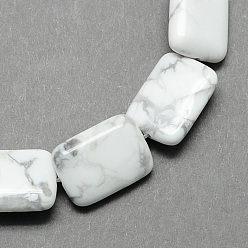 Blanc Perles en forme de rectangle de pierres précieuses howlite naturelle de pierre brins, blanc, 18x13x6mm, Trou: 1mm, Environ 22 pcs/chapelet, 15.7 pouce