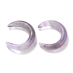 Amethyst Natural Amethyst Beads, No Hole, for Wire Wrapped Pendant Making, Double Horn/Crescent Moon, 31x28x6.5mm