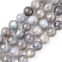 Labradorite Chapelets de perles labradorite naturelle , AA grade, ronde, grises , 8mm, Trou: 1mm, Environ 48 pcs/chapelet, 15.75 pouce
