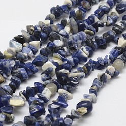 Bleu Sodalites naturelles brins de perles, puce, bleu, 3~5x7~13x2~4mm, Trou: 0.4mm, 31.5 pouce