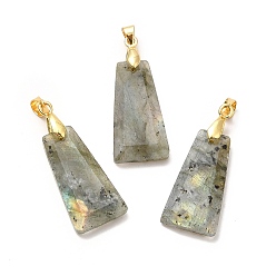 Labradorite Natural Labradorite Pendants, Faceted Trapezoid Charms, with Rack Plating Golden Tone Brass Findings, Cadmium Free & Lead Free, 25~26x12.5~13x3.5~4mm, Hole: 5x4mm