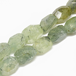 Prehnite Natural Prehnite Beads Strands, Flat Slab Beads, Nuggets, 19~23x15~18mm, Hole: 0.8mm, about 19pcs/strand, 15.3 inch