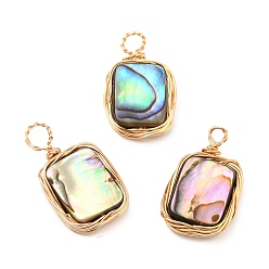 Real 18K Gold Plated Natural Abalone Shell/Paua Shell Pendants, with Eco-Friendly Copper Wire Wrapped, Rectangle, Mixed Color, Real 18K Gold Plated, 16~17x9.5x3mm, Hole: 1.6~3mm