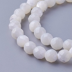 Autres Coquillages De Mer Chapelets de perles de coquillage, facette, ronde, 6~6.5mm, Trou: 0.8mm, Environ 59 pcs/chapelet, 14.84 pouce (37.7 cm)