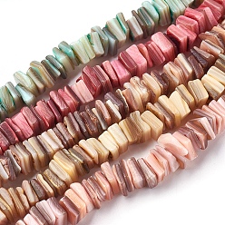 Couleur Mélangete Chapelets de perles en coquille eau douce , teint, perles heishi carrées, couleur mixte, 8~9x7.5~8x1~4mm, Trou: 0.5mm, 15.2~15.3 pouce (38.5~39 cm)