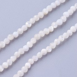 Other Sea Shell Shell Beads Strands, Faceted, Round, 2~2.5mm, Hole: 0.5mm, about 180~200pcs/strand, 14.5~16.1 inch(37~41cm)