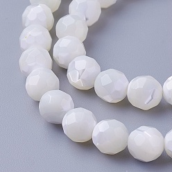Other Sea Shell Shell Beads Strands, Faceted, Round, 7.7~8mm, Hole: 0.5mm, about 50pcs/strand, 15.94 inch(40.5cm)