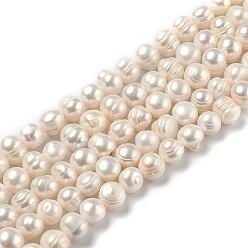 Bisque Natural Cultured Freshwater Pearl Beads Strands, Potato, Bisque, 7~10.5mm, Hole: 0.6mm, about 42pcs/strand, 14.02 inch(35.6cm)
