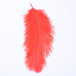 Roja Accesorios del traje de la pluma del avestruz, teñido, rojo, 15~20 cm