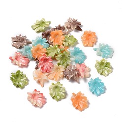 Couleur Mélangete Perles de corail synthétiques, teint, fleur, couleur mixte, 31~32x23~24x9~10mm, Trou: 1mm
