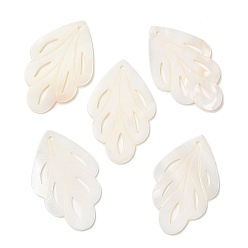 Freshwater Shell Natural Freshwater Shell Pendants, Leaf Charms, Seashell Color, 44.5x28.5~29x1.5mm, Hole: 1.6mm