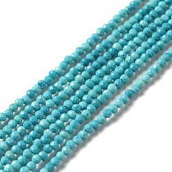 Turquoise Moyen Chapelets de perles howlite naturelles , teint, facette, ronde, turquoise moyen, 2mm, Trou: 0.6mm, Environ 198 pcs/chapelet, 15.20 pouce (38.6 cm)