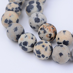 Dalmatian Jasper Natural Dalmatian Jasper Beads Strands, Frosted, Round, 8~8.5mm, Hole: 1mm, about 47pcs/strand, 15.5 inch
