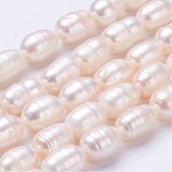 Old Lace Natural Cultured Freshwater Pearl Beads Strands, Rice, Old Lace, 11~15x9~10mm, Hole: 0.5mm, about 26pcs/strand, 14.2 inch