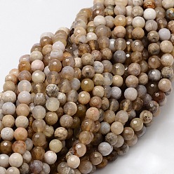 Natural Agate Faceted Round Natural Ocean Fossil Agate Bead Strands, 8mm, Hole: 1mm, about 50pcs/strand, 15.3 inch