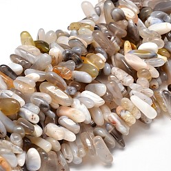 Botswana Agate Natural Botswana Agate Nuggets Beads Strands, 8~30x5~12mm, Hole: 1mm, about 15.3 inch~15.7 inch