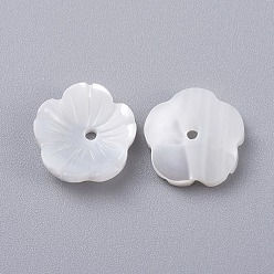 Autres Coquillages De Mer Coquille de trochide naturelle / perles de coquille de troque, fleur, 10x3mm, Trou: 1mm