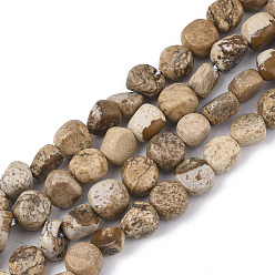 Picture Jasper Natural Picture Jasper Beads Strands, Nuggets, Tumbled Stone, 5~11x5~8x3~6mm, Hole: 0.8mm, about: 52~56pcs/Strand, 15.94 inch(40.5cm)