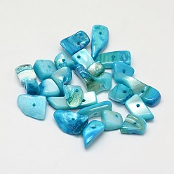 Light Sky Blue Dyed Natural Freshwater Shell Nuggets Chips Beads, Light Sky Blue, 10~20x5~15mm, Hole: 1mm, about 330pcs/500g