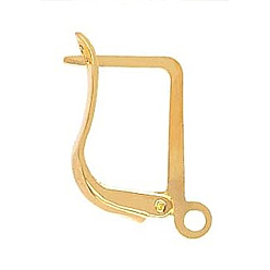 Real 24K Gold Plated 304 Stainless Steel Hoop Earring Findings, Latch Back, Real 24K Gold Plated, 18 Gauge, 17.2x12mm, Pin: 1mm