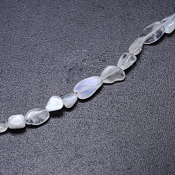 Rainbow Moonstone Natural White Rainbow Moonstones Nuggets Bead Strands, Tumbled Stone, 6~12x5~7mm, Hole: 1mm, about 15.7 inch