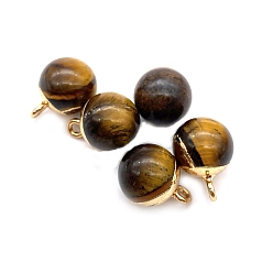 Tiger Eye Natural Tiger Eye Round Charms with Golden Plated Metal Findings, 15x10mm