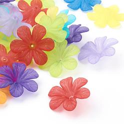Mixed Color Transparent Acrylic Beads, Frosted, Flower Bead Caps, Mixed Color, 30x8mm, Hole: 1.5~2mm, about 314pcs/500g