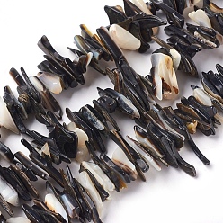 Coquillage De Mer Chapelets de perles en coquille eau douce , puce, couleur de coquillage, 10~30x7~10mm, Trou: 0.5mm, 15.3~15.5 pouce (39~39.5 cm)