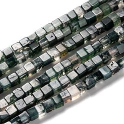 Moss Agate Natural Moss Agate Beads Strands, Cube, 4~5x4~5mm, Hole: 1mm, about 94pcs/strand, 15.04 inch(38.2~38.6cm)