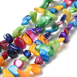 Colorful Natural Shell Beads Strands, Dyed, Nuggets Chips, Colorful, 8~22.5x5~11.5x4~7mm, Hole: 1mm, about 108pcs/strand, 31.30 inch(79.5cm)