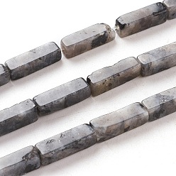 Larvikite Натуральные черные бусины из ларвикита, кубоид, 13~14x4~4.5x4~4.5 мм, отверстие : 1.2 мм, около 29~30 шт / нитка, 15.74 дюйм ~ 16.5 дюйм (40~42 см)