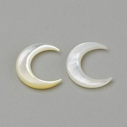 Seashell Color Natural White Shell Mother of Pearl Shell Cabochons, Moon, Seashell Color, 12x11.5x2mm