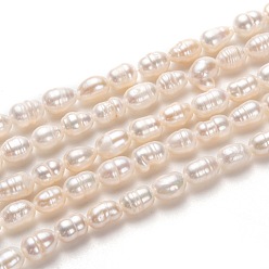 Bisque Natural Cultured Freshwater Pearl Beads Strands, Rice, Bisque, 6~8x4~5mm, Hole: 0.7mm, about 52pcs/strand, 13.39 inch(34cm)
