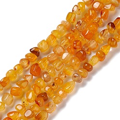 Gold Natural Agate Beads Strands, Nuggets, Dyed & Heated, Gold, 5~11x5~12x5~11mm, Hole: 1~1.4mm, about 39~50pcs/strand, 14.17~14.96 inch(36~38cm)