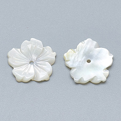 Seashell Color Natural White Shell Beads, Mother of Pearl Shell Beads, Flower, Seashell Color, 13.5x14x2mm, Hole: 1mm