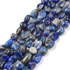 Lapis Lazuli Lapis-lazuli, brins de perles naturels , pierre tombée, nuggets, 8~10x6~7x4~5mm, Trou: 0.6mm, Environ 51 pcs/chapelet, 15.16'' (38.5 cm)