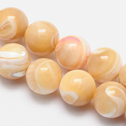 Autres Coquillages De Mer Brins de perles rondes en coquillage naturel, 4mm, Trou: 1mm, Environ 108 pcs/chapelet, 15.5 pouce