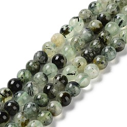 Prehnite Natural Prehnite Beads Strands, Round, Grade AB, 8mm, Hole: 1mm, about 50pcs/strand, 15.3 inch(39cm).