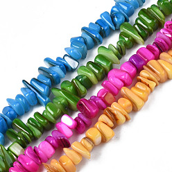 Mixed Color Natural Trochid Shell/Trochus Shell Beads Strands, Dyed, Chips, Mixed Color, 7~22x5~8x1~6.5mm, Hole: 1mm, about 96~102pcs/strand, 14.37 inch~15.75 inch(36.5cm~40cm)