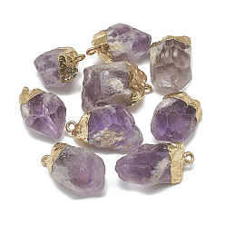Amethyst Electroplate Natural Amethyst Pendants, with Brass Findings, Nuggets, Golden, 22~40x14~30x11~22mm, Hole: 1.5mm