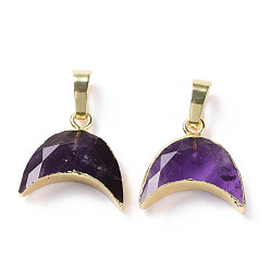 Amethyst Natural Amethyst Pendants, with Golden Tone Brass Findings, Cadmium Free & Lead Free, Faceted, Moon, 24mm, Moon: 17x18x5.5mm, Hole: 4.5x7mm