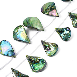 Green Electroplated Natural Freshwater Shell Beads, Teardrop, AB Color, Green, 28~38x18.5~25x6~16mm, Hole: 1.2mm, about 14pcs/strand, 15.35 inch~16.54 inch(39~42cm)