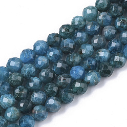 Apatite Natural Apatite Beads Strands, Faceted, Round, Grade A, 6mm, Hole: 0.9mm, about 60~61pcs/strand, 14.96 inch(38cm)