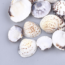 Seashell Color Clam Shell Beads, Undrilled/No Hole Beads, Seashell Color, 18~33x19~36x4~9mm