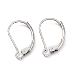Stainless Steel Color 304 Stainless Steel Leverback Earring Findings, Stainless Steel Color, 16.5x10x2mm, Pin: 1mm